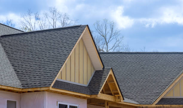 Best Skylight Installation and Repair  in Rustburg, VA